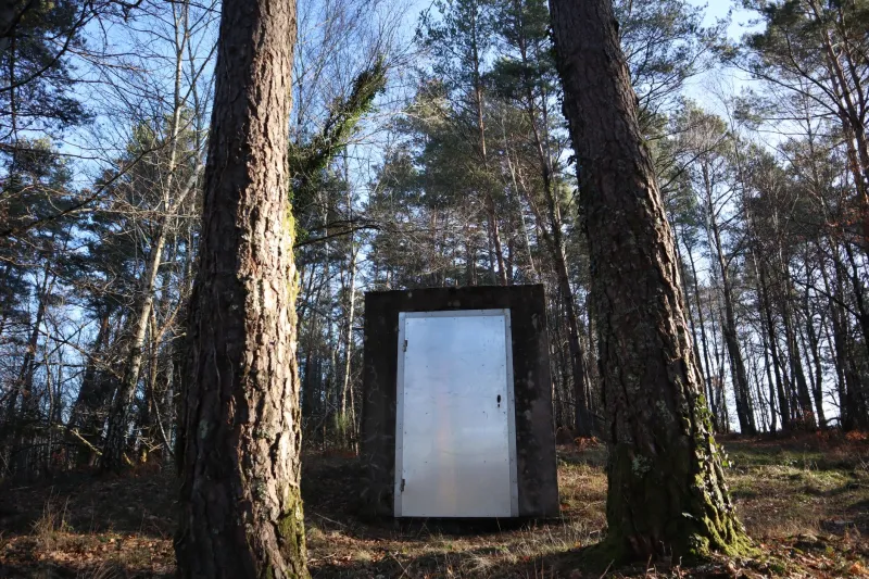 Buried and Beautiful: Why the Underground Is Ditching Wallets for Dirt